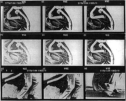Sturtevant